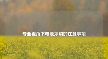 专业视角下电池采购的注意事项