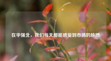 在华强北，我们每天都能感受到市场的脉搏