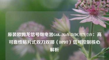 原装欧姆龙信号继电器G6K-2G-Y-5VDC/12V/24V：高可靠性贴片式双刀双掷（DPDT）信号控制核心解析