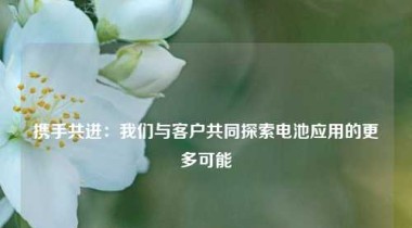 携手共进：我们与客户共同探索电池应用的更多可能