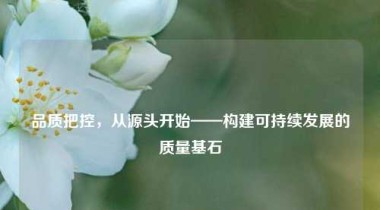 品质把控，从源头开始——构建可持续发展的质量基石