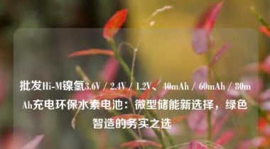 批发Hi-M镍氢3.6V / 2.4V / 1.2V、40mAh / 60mAh / 80mAh充电环保水素电池：微型储能新选择，绿色智造的务实之选  