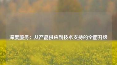 深度服务：从产品供应到技术支持的全面升级