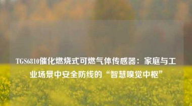 TGS6810催化燃烧式可燃气体传感器：家庭与工业场景中安全防线的“智慧嗅觉中枢”