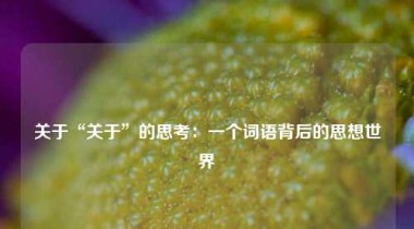 关于“关于”的思考：一个词语背后的思想世界