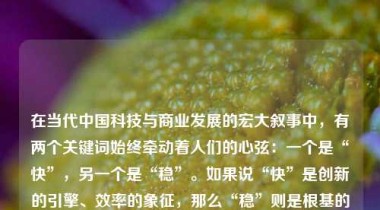 在当代中国科技与商业发展的宏大叙事中，有两个关键词始终牵动着人们的心弦：一个是“快”，另一个是“稳”。如果说“快”是创新的引擎、效率的象征，那么“稳”则是根基的保障、可持续发展的前提。在深圳，有一个地方将“快”演绎到了极致——它就是华强北；而我们所追求的“稳”，则是一种战略定力、系统思维和长期主义的体现。如何让华强北的“快”与我们的“稳”有机融合，不仅是一个城市发展的课题，更是一个时代命题。