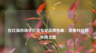 在红海市场中打造专业品牌形象：茂秦科技的突围之路