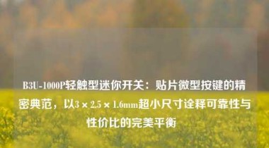 B3U-1000P轻触型迷你开关：贴片微型按键的精密典范，以3×2.5×1.6mm超小尺寸诠释可靠性与性价比的完美平衡  