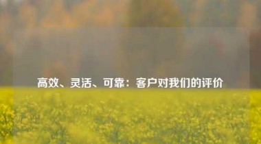高效、灵活、可靠：客户对我们的评价