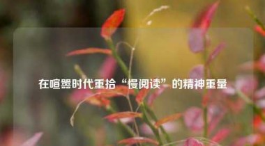 在喧嚣时代重拾“慢阅读”的精神重量