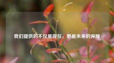 我们提供的不仅是现在，更是未来的保障