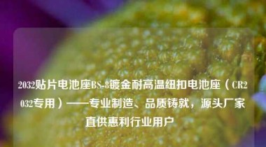 2032贴片电池座BS-8镀金耐高温纽扣电池座（CR2032专用）——专业制造、品质铸就，源头厂家直供惠利行业用户  