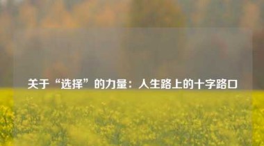 关于“选择”的力量：人生路上的十字路口