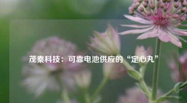 茂秦科技：可靠电池供应的“定心丸”