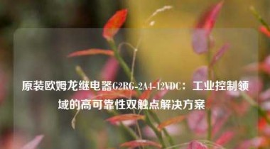 原装欧姆龙继电器G2RG-2A4-12VDC：工业控制领域的高可靠性双触点解决方案  