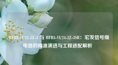 HFD3-VI/12-2Z-3 与 HFD3-VI/24-2Z-3SR：宏发信号继电器的精准演进与工程适配解析  