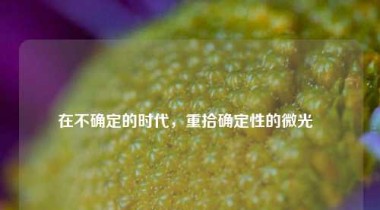 在不确定的时代，重拾确定性的微光  