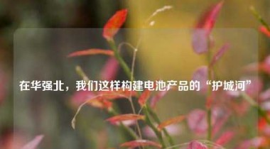 在华强北，我们这样构建电池产品的“护城河”