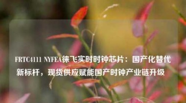 FRTC4111 NYFEA徕飞实时时钟芯片：国产化替代新标杆，现货供应赋能国产时钟产业链升级  