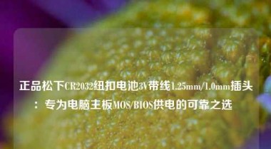 正品松下CR2032纽扣电池3V带线1.25mm/1.0mm插头：专为电脑主板MOS/BIOS供电的可靠之选  