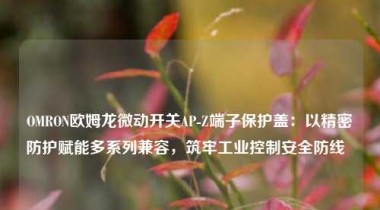 OMRON欧姆龙微动开关AP-Z端子保护盖：以精密防护赋能多系列兼容，筑牢工业控制安全防线  