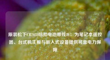 原装松下CR2032纽扣电池带线3V：为笔记本遥控器、台式机主板与嵌入式设备提供可靠电力保障