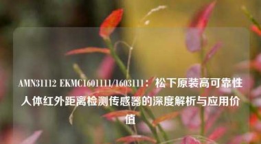 AMN31112 EKMC1601111/1603111：松下原装高可靠性人体红外距离检测传感器的深度解析与应用价值