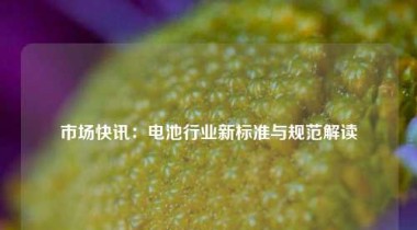 市场快讯：电池行业新标准与规范解读