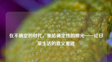 在不确定的时代，重拾确定性的微光——论日常生活的意义重建