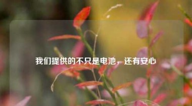 我们提供的不只是电池，还有安心