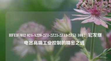 HF13F/012 024-A220-2Z1-2Z23-2Z13-2Z53 10A：宏发继电器高端工业控制的精密之选  