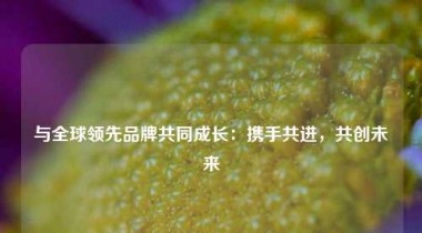 与全球领先品牌共同成长：携手共进，共创未来