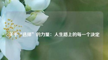 关于“选择”的力量：人生路上的每一个决定