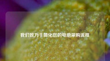 我们致力于简化您的电池采购流程