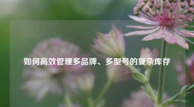 如何高效管理多品牌、多型号的复杂库存