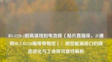 BS-1220-2耐高温纽扣电池座（贴片直插座，3V通用ML/CR1220编带带帽型）：微型能源接口的精密进化与工业级可靠性解析