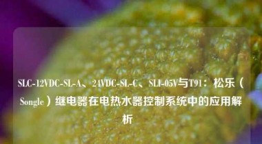 SLC-12VDC-SL-A、24VDC-SL-C、SLI-05V与T91：松乐（Songle）继电器在电热水器控制系统中的应用解析  