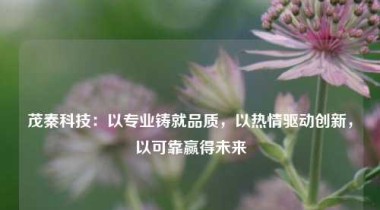 茂秦科技：以专业铸就品质，以热情驱动创新，以可靠赢得未来