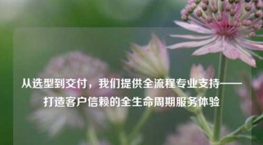 从选型到交付，我们提供全流程专业支持——打造客户信赖的全生命周期服务体验