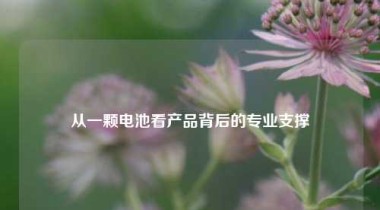 从一颗电池看产品背后的专业支撑
