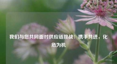 我们与您共同面对供应链挑战：携手共进，化危为机