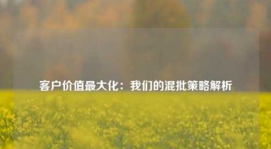 客户价值最大化：我们的混批策略解析
