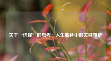 关于“选择”的思考：人生旅途中的关键转折