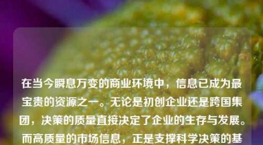 在当今瞬息万变的商业环境中，信息已成为最宝贵的资源之一。无论是初创企业还是跨国集团，决策的质量直接决定了企业的生存与发展。而高质量的市场信息，正是支撑科学决策的基石。我们深知这一点，因此始终致力于为客户提供精准、全面、实时的市场信息解决方案，助力您在复杂多变的市场中把握先机，做出更优决策。
