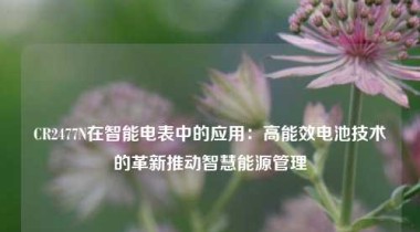 CR2477N在智能电表中的应用：高能效电池技术的革新推动智慧能源管理