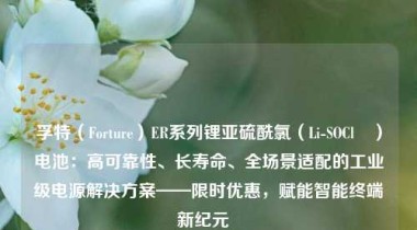 孚特（Forture）ER系列锂亚硫酰氯（Li-SOCl₂）电池：高可靠性、长寿命、全场景适配的工业级电源解决方案——限时优惠，赋能智能终端新纪元  