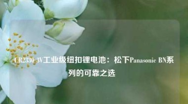 CR2330 3V工业级纽扣锂电池：松下Panasonic BN系列的可靠之选  