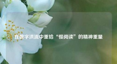 在数字洪流中重拾“慢阅读”的精神重量