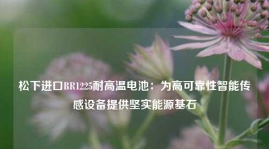 松下进口BR1225耐高温电池：为高可靠性智能传感设备提供坚实能源基石