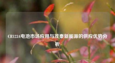 CR123A电池市场应用与茂秦新能源的供应优势分析